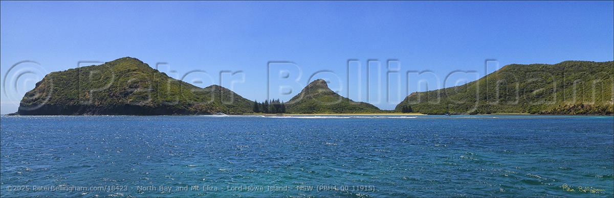 Peter Bellingham Photography North Bay and Mt Eliza - Lord Howe Island - NSW (PBH4 00 11915)